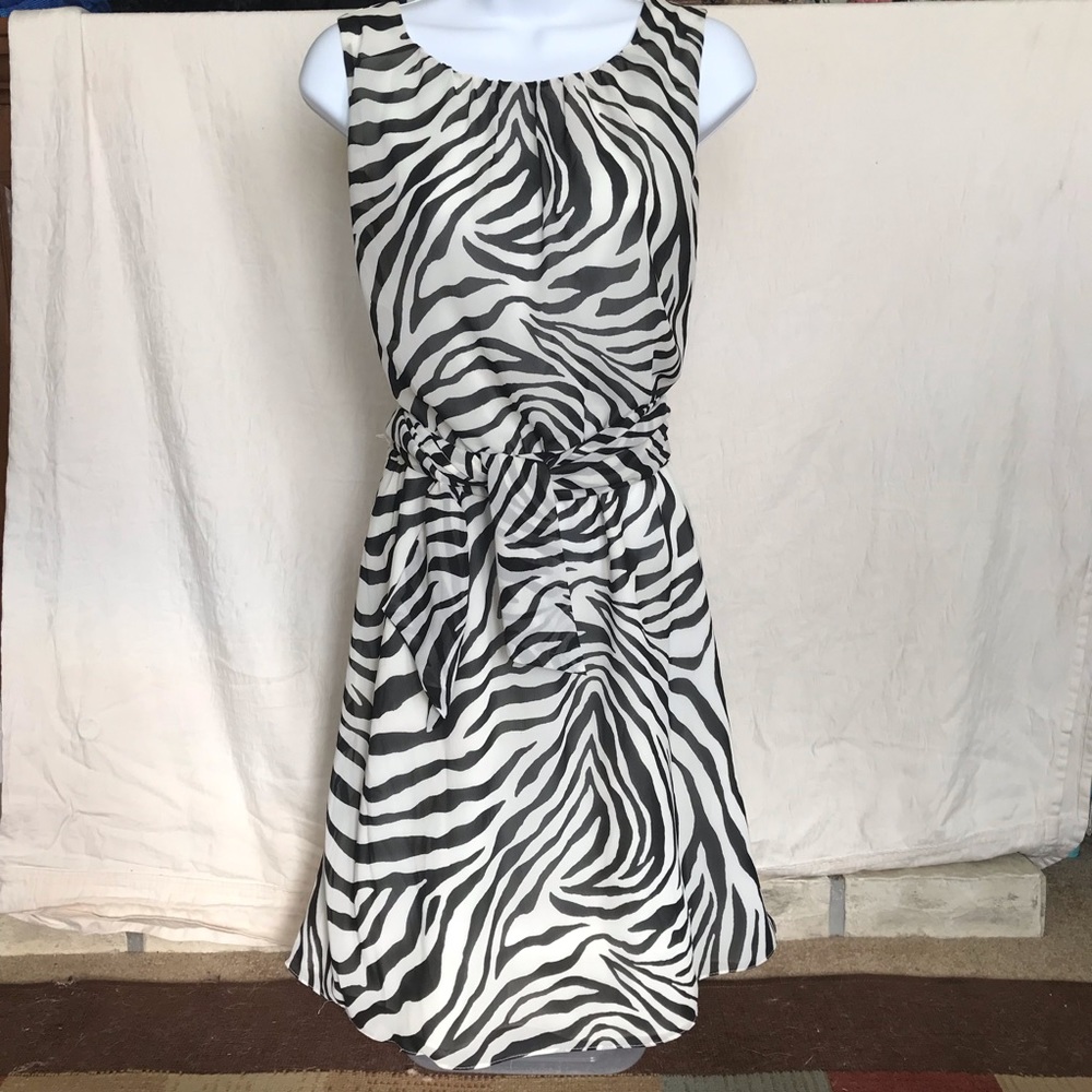 Banana Republic Sleeveless Blouse Zebra Dress Sz 6